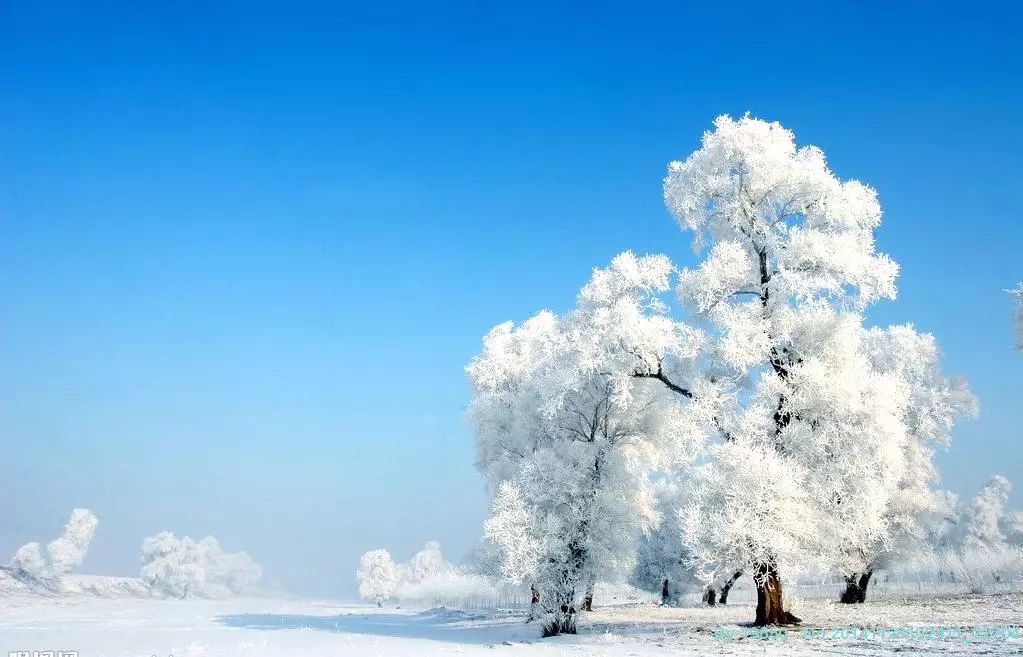 悦享冬日,暖暖广东,让您心悦广东