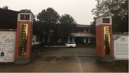 农村蝶变,蝶变小山村视频