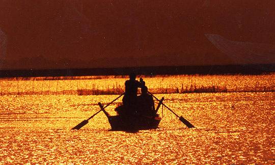 沈阳最漂亮的十大美人,沈阳女孩最漂亮的照片