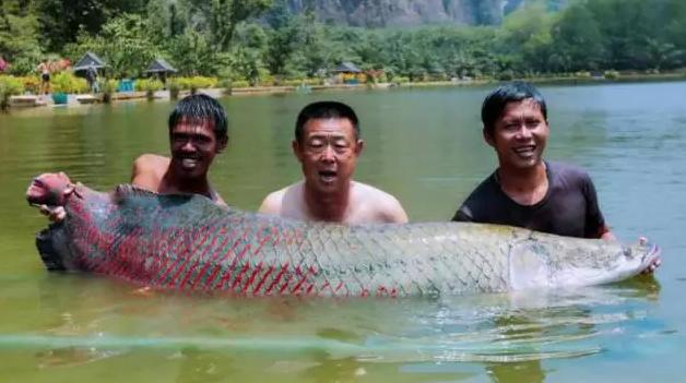 钓鱼探钓达人,钓鱼达人视频海钓