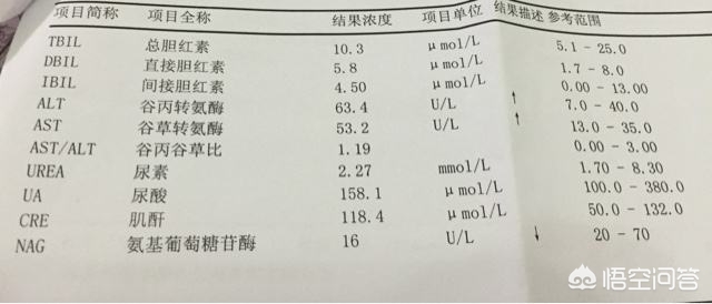运动后转氨酶升高,喝中药转氨酶升高