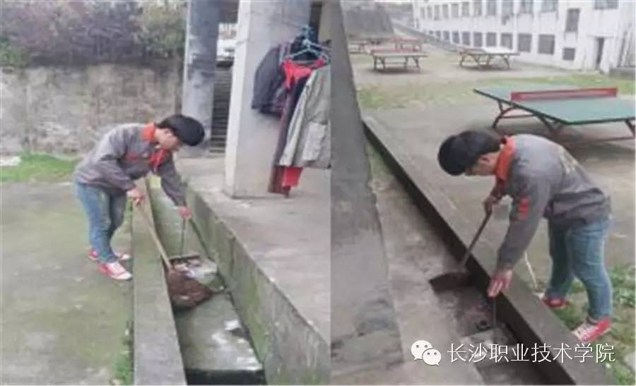 优秀青年志愿者报道,推荐十佳优秀青年志愿者