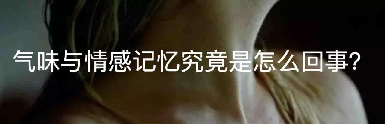 顺行性遗忘症是什么都不记得了吗,顺行性遗忘症是不是失忆症