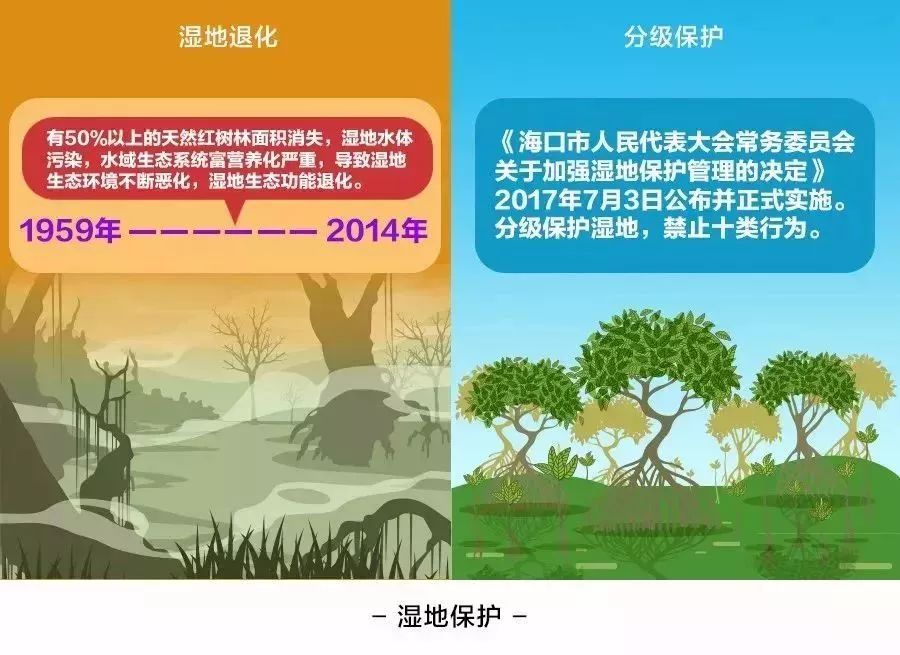 2017难忘的回忆完整,难忘的海口记忆