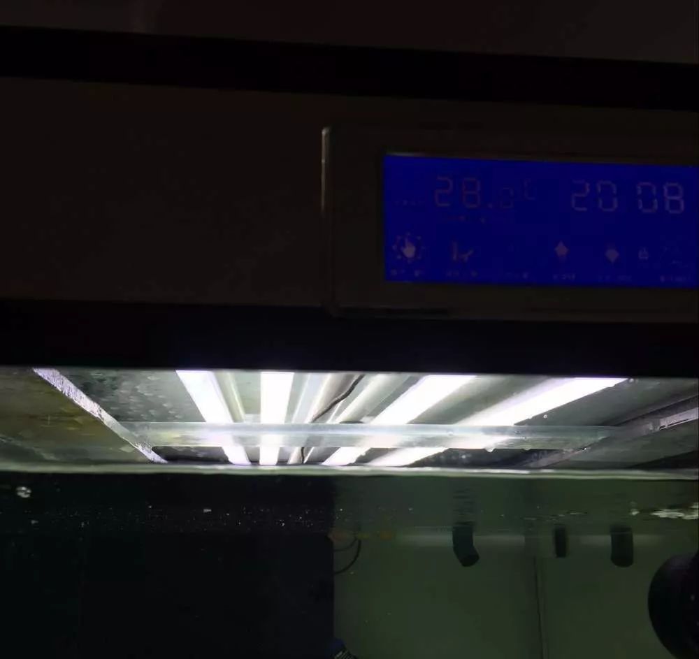 历时4个月，亲手做的缸终于运行！