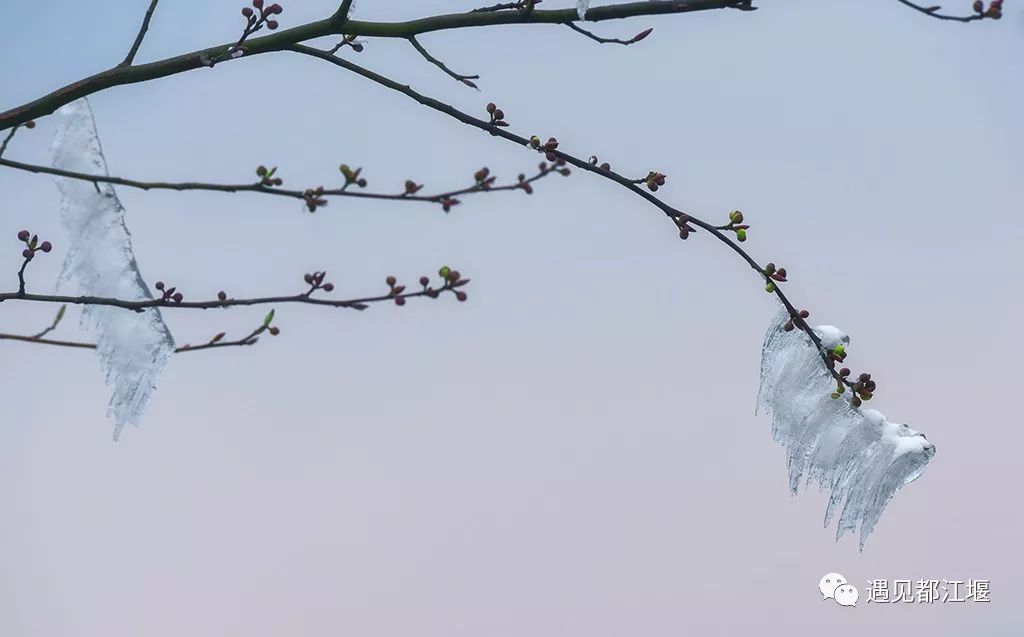 南方也有雪景,南方也有冰雪世界