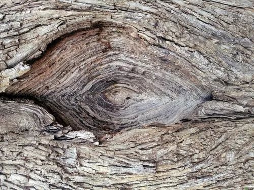 爱爱射出血怎么办?|荷小爱请回答