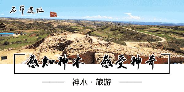 插卡式电表电费查询,磁卡电表怎么查看电价