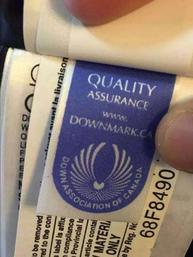 鎶勮鐨勬渶楂樺鐣屾湁澶氶珮,canadagoose