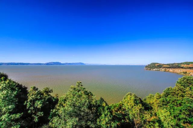 春城秀红嘴鸥图片,春城冬日美景