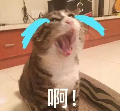 男朋友觉得彩妆贵,男朋友认为化妆品贵