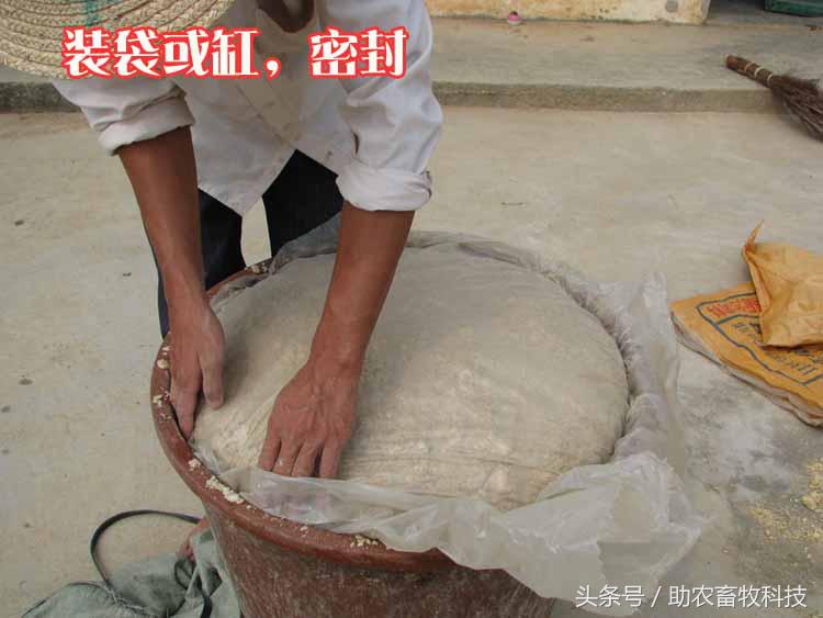 豆渣一吨多少钱,豆渣发酵后多少钱一吨