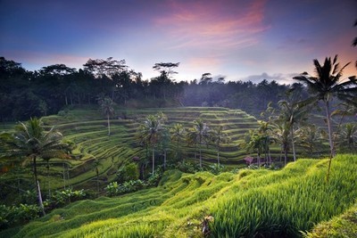 巴厘岛和普吉岛马尔代夫哪里更好,三亚巴厘岛普吉岛哪个比较好玩