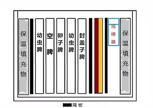蜜蜂春繁分箱最简单方法,蜜蜂单脾春繁简易方法