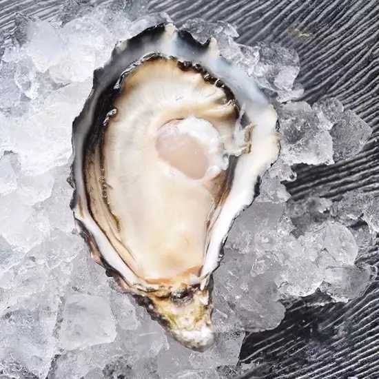 需要我来教你吗英文,你愿意请我吃生蚝吗