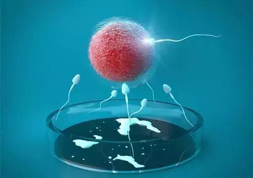 关于试管婴儿的这些问题你必须知道！