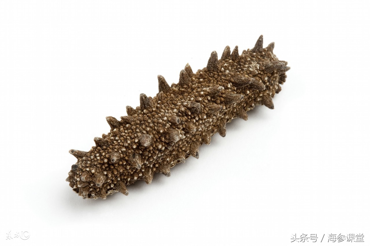 即食海参价格为什么差别那么大,海参的功效与营养价值及价格