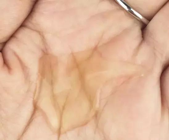 洗发水平价控油蓬松防脱生发推荐,去屑控油网红款洗发水