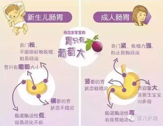 一岁宝宝肠胃不好怎么调理最有效,1周岁宝宝调理肠胃辅食