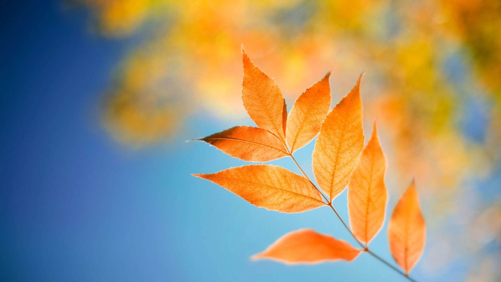 如何战胜自己内心的恐惧与焦虑,怎样才能战胜心理恐惧