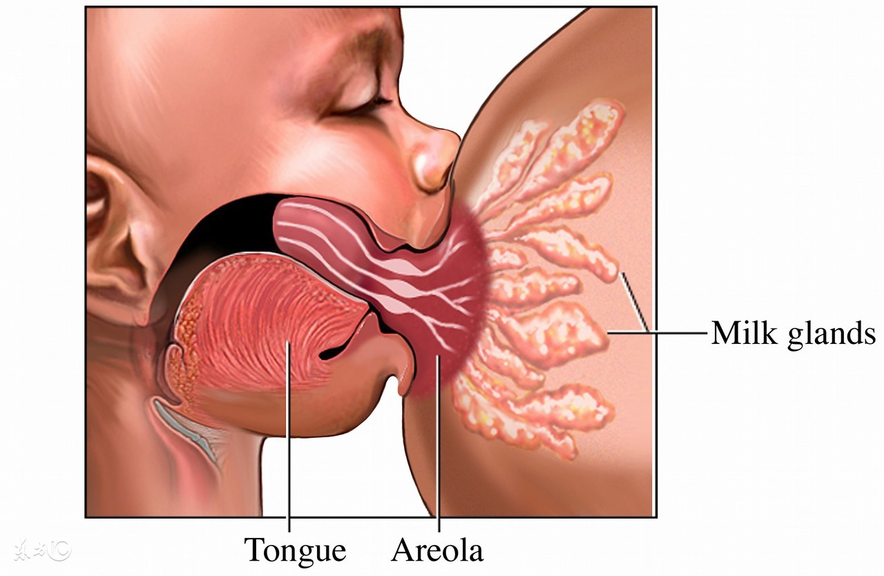 生娃后乳房下垂怎么恢复,预防乳房下垂的方法