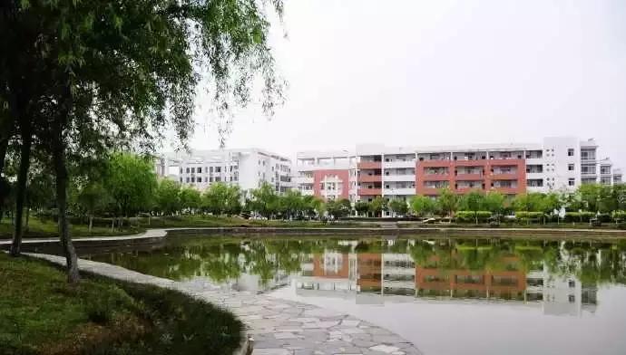 怀念莲塘一中,校园生活莲塘一中