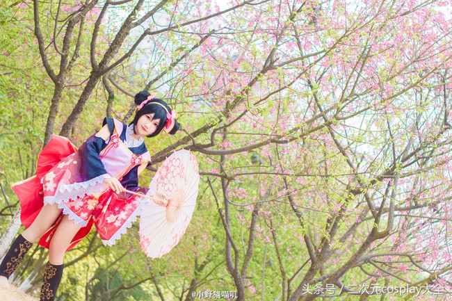 新的一年你是选择看樱花，还是超级可爱的妮可呢？