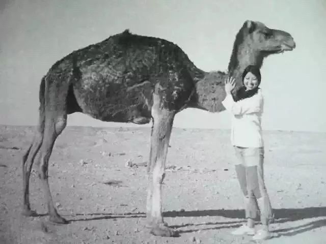 27年了，更想念那个浪迹天涯的你