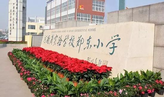 郑州各区优质小学推荐,郑州各区重点小学