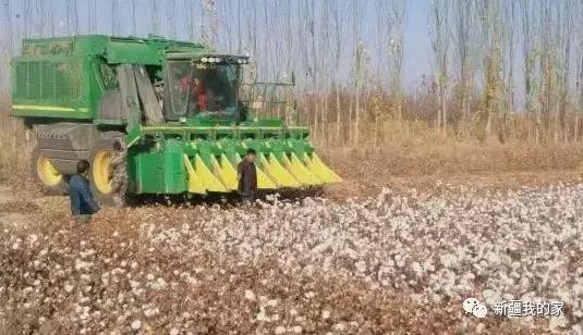 新疆新型城市,新疆刚建立的南疆城市