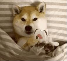 实测平价最好用的面膜推荐,用过高端护肤品还能用便宜的吗