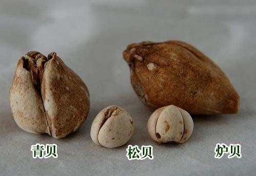 造假最多的十个中药材,名贵中药材造假的有哪些