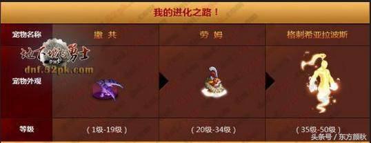 dnf绝版宠物都有哪些,dnf最好的三个宠物