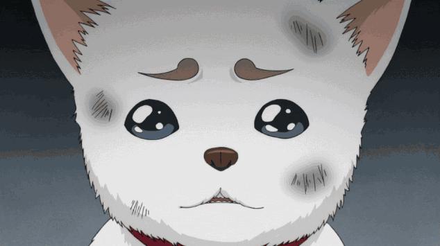 西安幼升小私立学校排名,西安幼升小最新学区划分励志小学