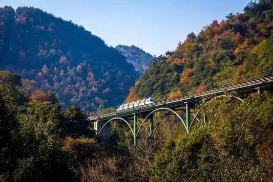 2018年浙江地方景点旅游日历大合集！含杭州，建德，温州，金华！