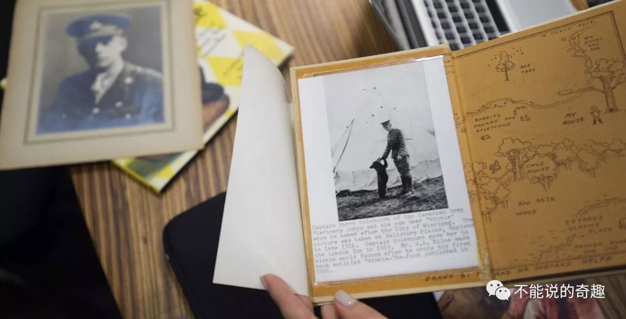 20美元被买下带回*队军**，50年后它成为红遍全球的小熊维尼