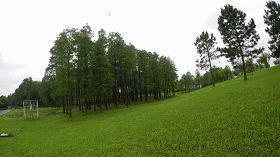 黄石附近泡温泉好去处推荐,黄石哪里有好的泡温泉的地方