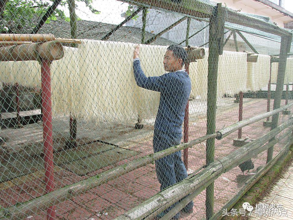樟树米粉面条,江西樟树炒米粉