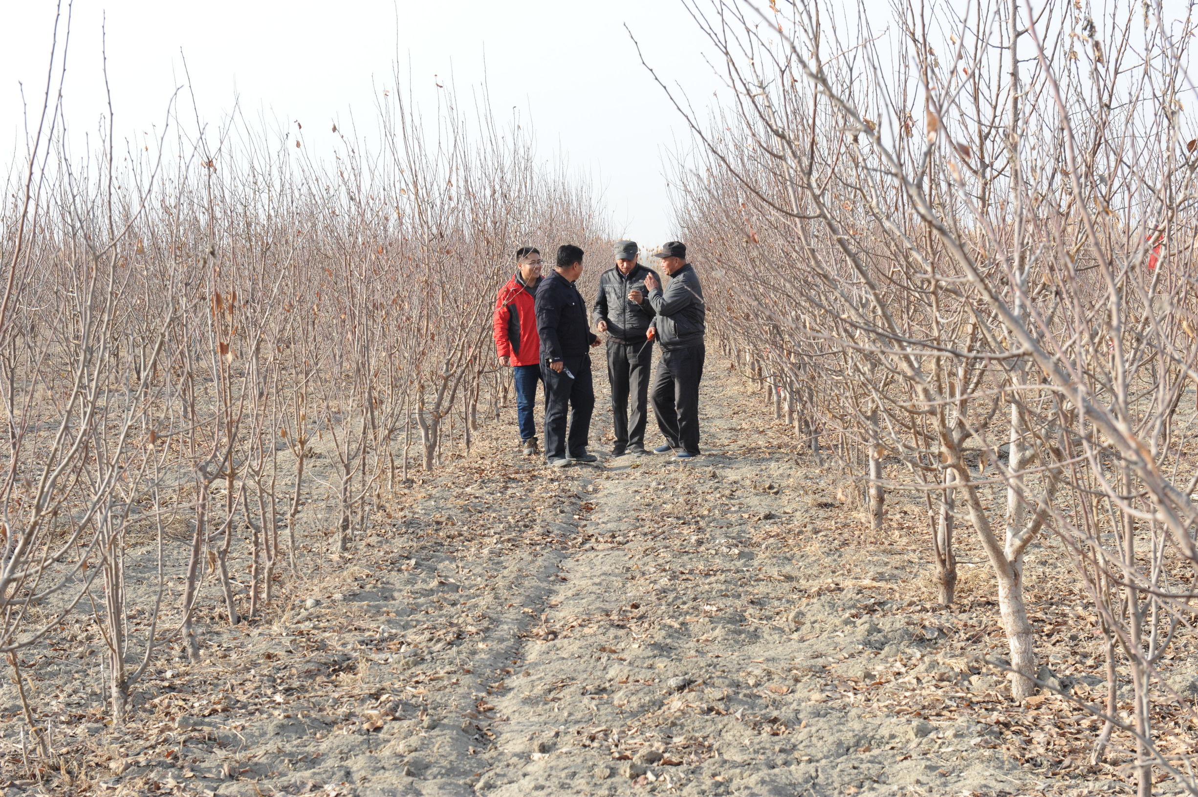 巴州中院访惠聚工作队驻村故事拉村的“黑脸书记”脑梗中风心脏搭桥不退缩田间地头群众利益挂心间