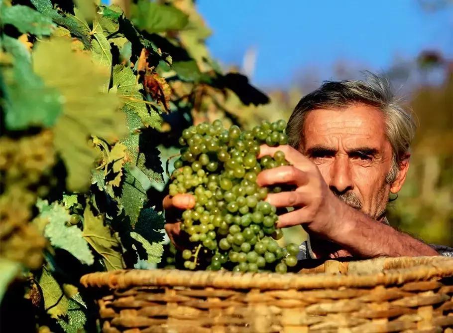 这个极具欧式风情的亚洲国家，景点几乎免费开放，电子签超方便！