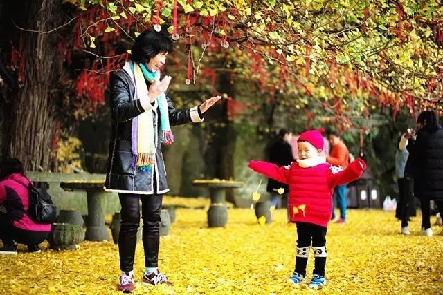 2018年浙江地方景点旅游日历大合集！含杭州，建德，温州，金华！