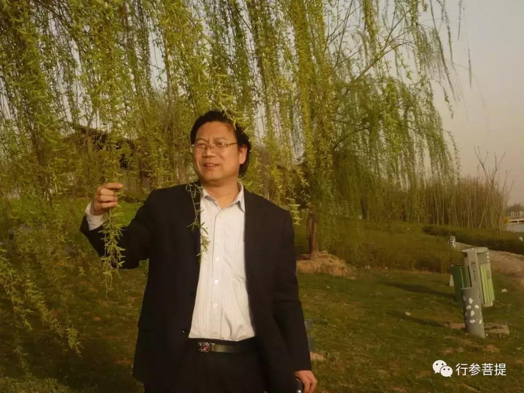 肥猪，是这样被人杀死的/白来勤