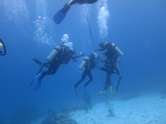 帕劳海底世界,帕劳七色海全景图