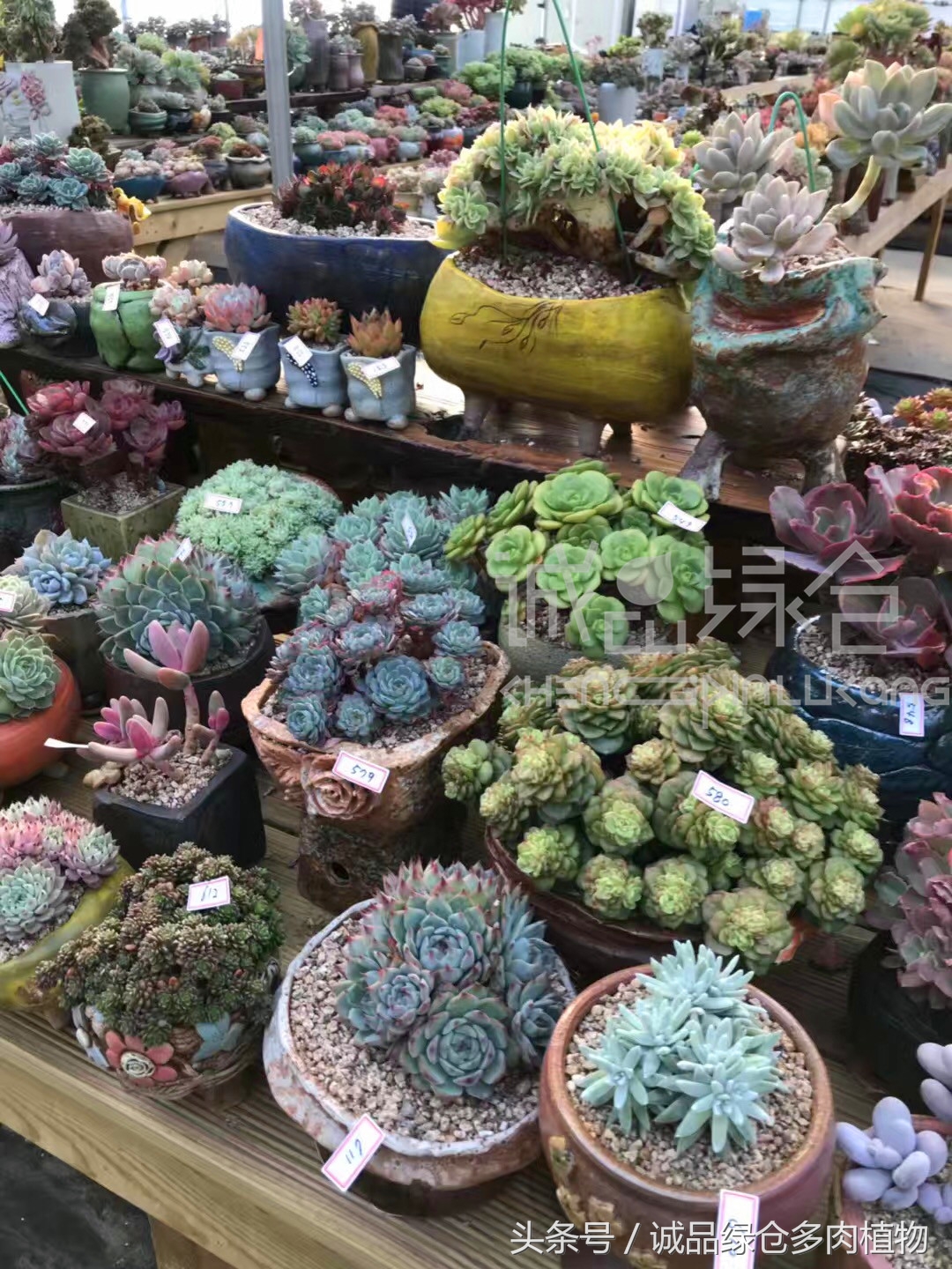 满足你对的所有幻想,满足你对生活所有的想象