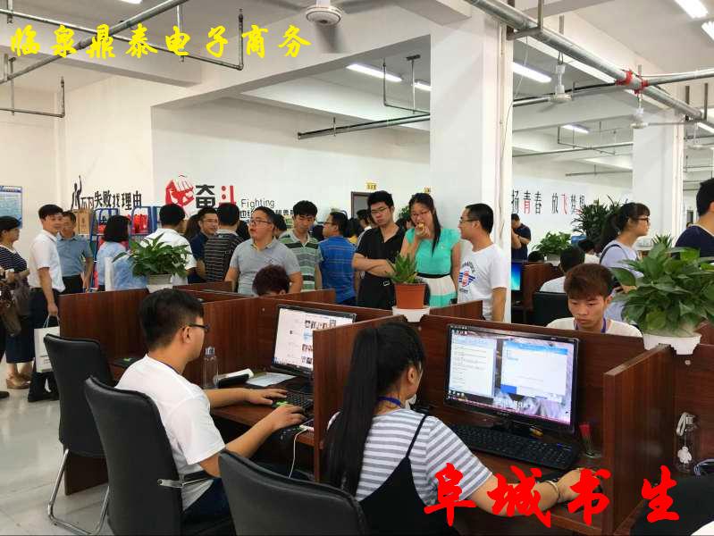 临泉鼎泰电子商务，监督时代下网贷将何去何从