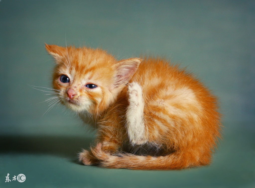 宝宝湿疹太折磨人了,婴儿湿疹快把妈妈弄崩溃了