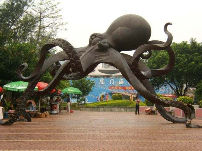 鼓浪屿必打卡景点,鼓浪屿网红打卡景点