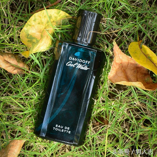 男性荷尔蒙味的香水都有哪些牌子,蔚蓝大地香水哪个适合成熟男性