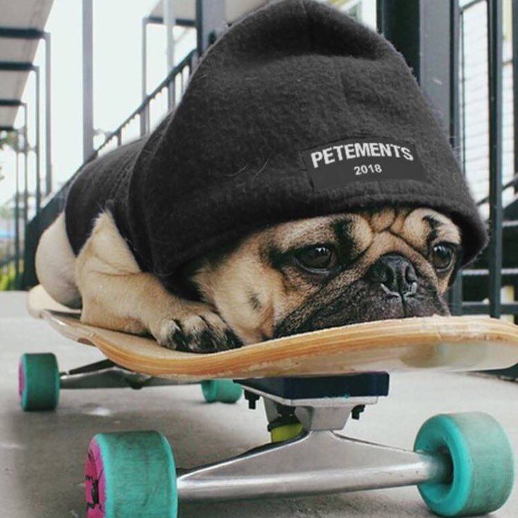 哪些“年鞋”会被FLOP掉？