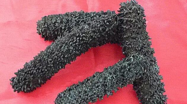 海参也有很多种,全世界所有可以吃的海参